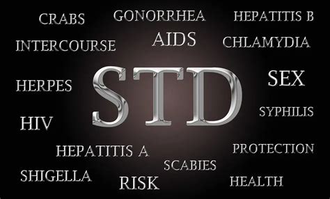 videos de sexually transmitted disease|STDs & HIV: The ABCs of STDs